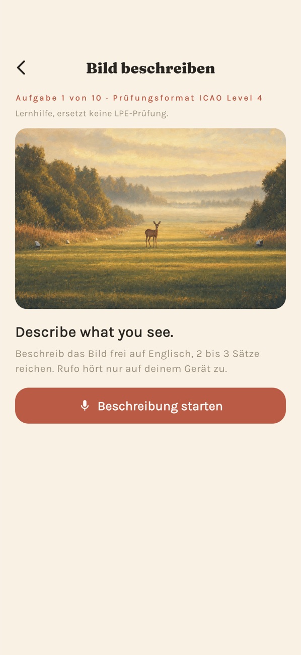Aufgabe zum Beschreiben eines Flugplatzfotos